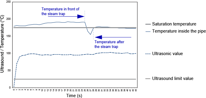 Fig. 8-4: Printout for a float trap that is leaking live steam